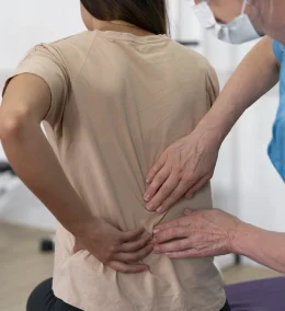 spine